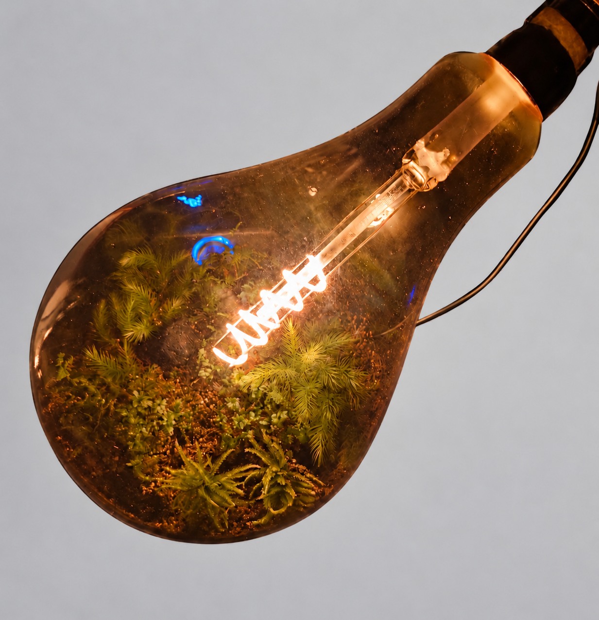 電球の形のガラス容器の中で植物を照らす暖色の光